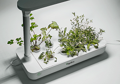 Домашняя мини-ферма Vegebox - фото 2