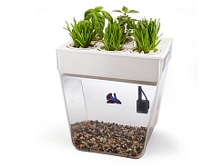 Акваферма AquaFarm - фото 2