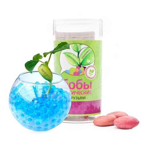 Магические Бобы- фото 1