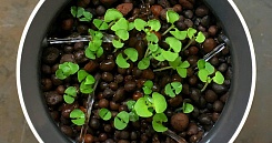 Умная ваза Botanium - фото 9