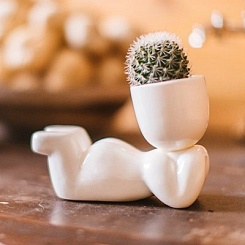 Набор для выращивания "Eco-Мечтатель" - фото 5