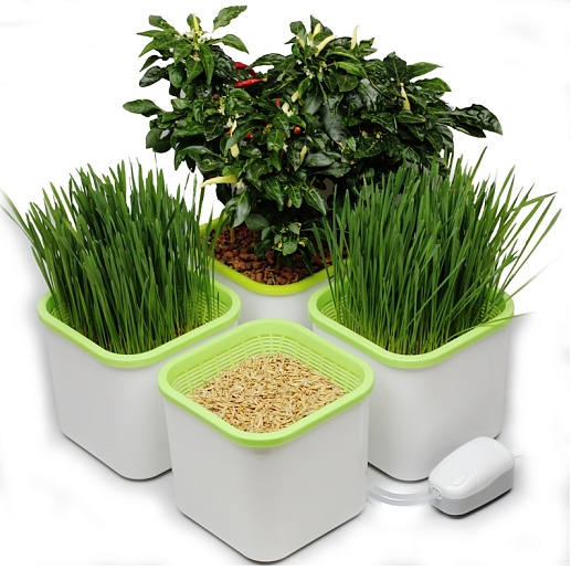 Мини гидропонная система АэроСад (4-х модульная)- фото 1