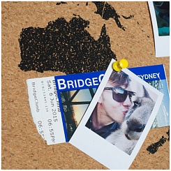 Пробковая карта для путешественников - фото 4