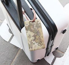 Багажная бирка "Карта мира" - фото 3