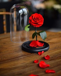 Светильник Beauty & the Beast Enchanted Rose - фото 5