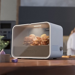 Грибная ферма Shrooly - фото 3