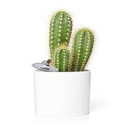 НЛО для полива растений - фото 2