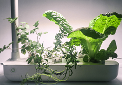 Домашняя мини-ферма Vegebox - фото 3