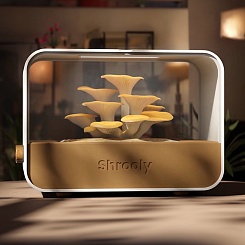 Грибная ферма Shrooly - фото 4