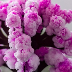 Волшебное дерево Сакура - фото 2