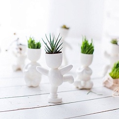 Набор для выращивания "Eco-Танцор" - фото 3