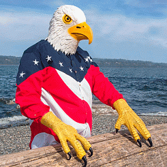 Когти орла - фото 3