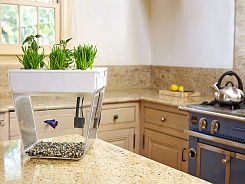 Акваферма AquaFarm - фото 6