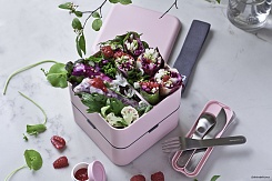 Ланчбокс MB SQUARE LITCHI MONBENTO - изображение 9 Ланчбокс MB SQUARE LITCHI MONBENTO - фото 9