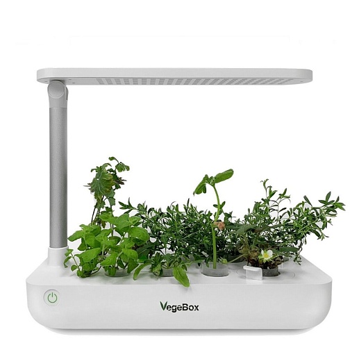 Домашняя мини-ферма Vegebox- фото 1