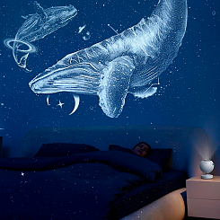 Космический проектор-планетарий с дисками - фото 4