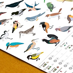 Музыкальный плакат «Птицеграфика» - фото 2