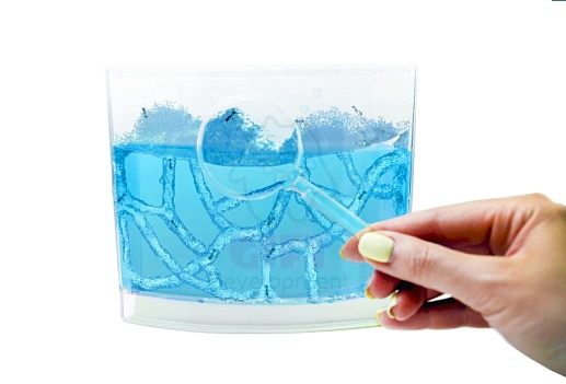 Муравьиная ферма Ant Space- фото 1