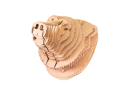 Трофей "Голова медведя"- фото 1