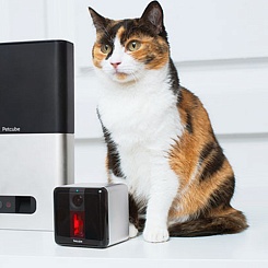 Интерактивная лазерная камера для домашних животных - фото 4