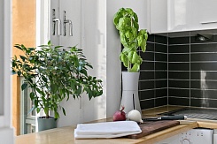 Умная ваза Botanium - фото 3