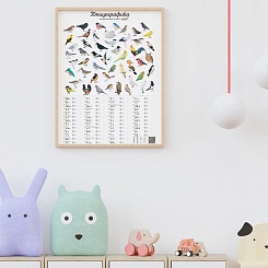 Музыкальный плакат «Птицеграфика» - фото 3