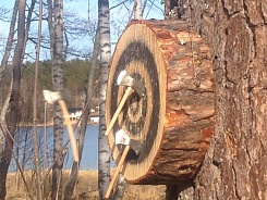 Игра "Дартс для викингов" - изображение 3 Игра "Дартс для викингов" - фото 3