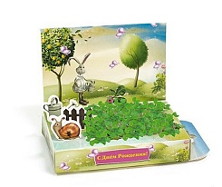 Живая открытка - фото 3