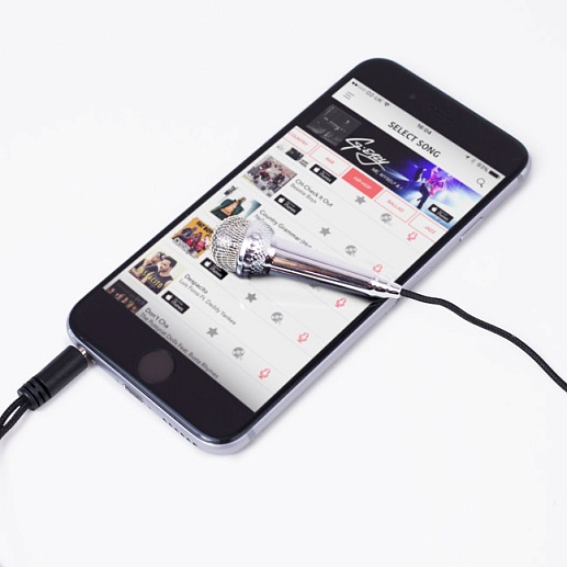 Мини-микрофон для караоке- фото 1