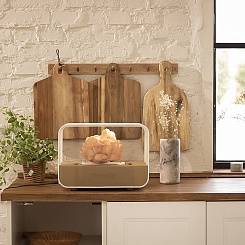 Грибная ферма Shrooly - фото 2