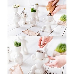 Набор для выращивания "Eco-Мечтатель" - фото 7