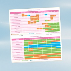 Детский сертификат прививок - фото 6