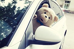 Медведь «Ted» - фото 5