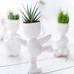 Набор для выращивания "Eco-Танцор" - фото 4