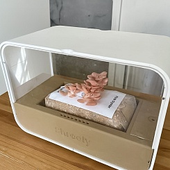 Грибная ферма Shrooly - фото 5