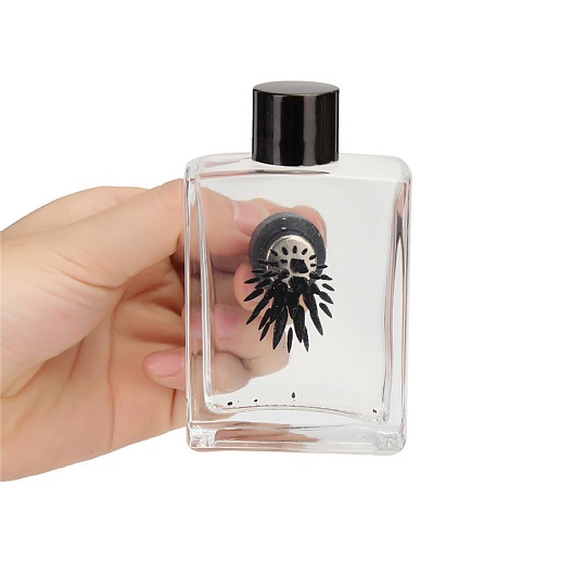 Ферромагнитная жидкость в бутылке- изображение 1 Ферромагнитная жидкость в бутылке- фото 1