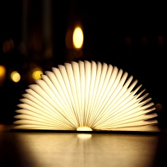 Книга-светильник Book Lamp - фото 5