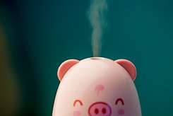 Ультразвуковой увлажнитель воздуха Sonmax - фото 7