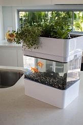 Двухъярусная Aqua Farm - фото 2