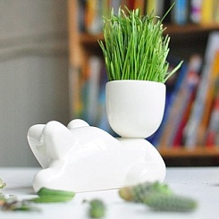 Набор для выращивания "Eco-Лентяй" - фото 2