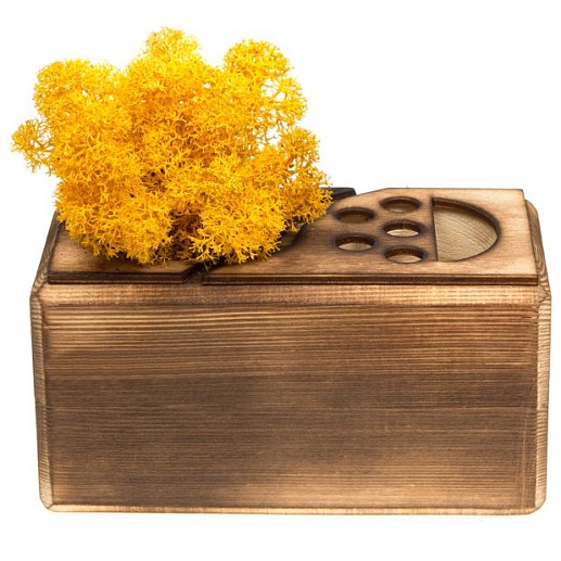 Живая подставка Green- фото 1